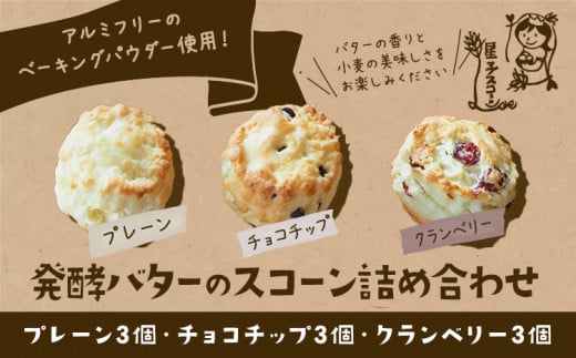 スコーン 詰め合わせ 3種 9個 プレーン チョコチップ クランベリー 《30日以内に出荷予定(土日祝除く)》星子スコーン 千葉県 流山市 おやつ