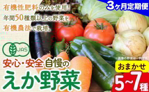 【毎月定期便3回】えか野菜 おまかせ5~7種セット 有機JAS認定 株式会社えか自然農場 千葉県 流山市 オーガニック 無農薬 化学肥料不使用 旬 送料無料
