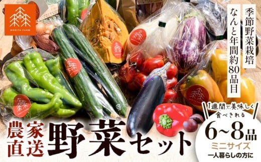 野菜 農家直送 新鮮 野菜 セット ミニサイズ 6〜8品 [30日以内に出荷予定(土日祝除く)] 森田農園 青果物 やさい 千葉県 流山市