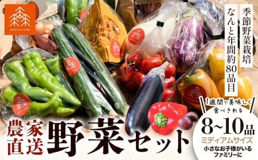 野菜 農家直送 新鮮 野菜 セット ミディアムサイズ 8〜10品 [30日以内に出荷予定(土日祝除く)] 森田農園 青果物 やさい 千葉県 流山市