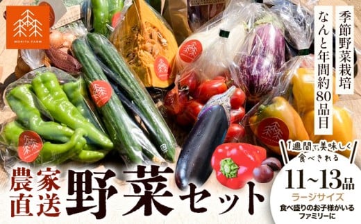 野菜 農家直送 新鮮 野菜 セット ラージサイズ 11〜13品 [30日以内に出荷予定(土日祝除く)] 森田農園 青果物 やさい 千葉県 流山市