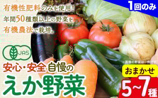 えか野菜 おまかせ5~7種セット 有機JAS認定 株式会社えか自然農場《30日以内に出荷予定(土日祝除く)》千葉県 流山市 オーガニック 無農薬 化学肥料不使用 旬 送料無料