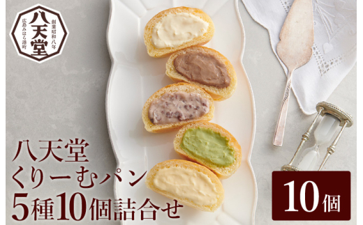 【八天堂】とろけるくりーむパン 10個詰合せ (5種×2個) クリームパン 菓子パン スイーツ カスタード 生クリーム チョコレート 抹茶 フローズン 冷凍 ギフト すいーつ 015014