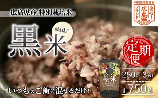 3か月定期便【安心!広島ブランド】広島県産 特別栽培 黒米 250g×1パック×3か月 国産 漆黒のサプリ 美容 健康 サプリメント 食物繊維 ミネラル ご飯 ごはん 227003