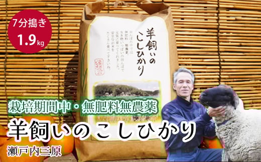 【栽培期間中・無肥料無農薬】瀬戸内三原 羊飼いのこしひかり７分搗き 1.9kg 2025年9月上旬発送予定 瀬戸内ビオファーム お米 こめ ご飯 002010