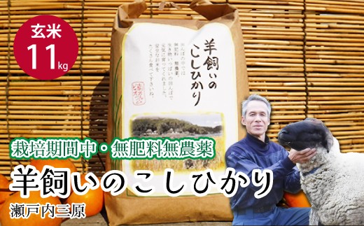 【栽培期間中・無肥料無農薬】瀬戸内三原 羊飼いのこしひかり 玄米11kg 2025年9月上旬発送予定 瀬戸内ビオファーム お米 こめ ご飯 002011