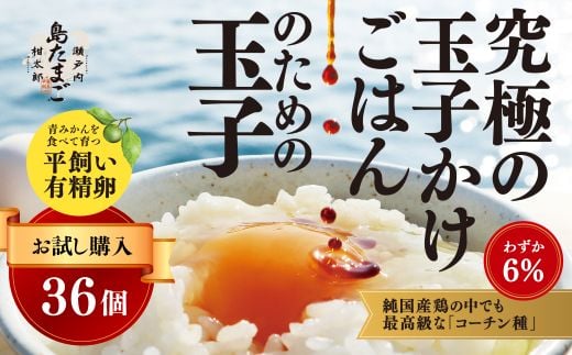 【お試し】 瀬戸内柑太郎 『島たまご』平飼い有精卵 36個(34個+割れ補償2個)  平飼い 純国産鶏 コーチン種 卵 たまご 佐木島 三原 広島 017034