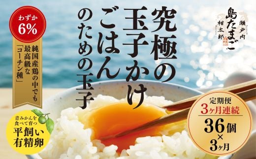 【3ヶ月 定期便】 瀬戸内柑太郎 『島たまご』平飼い有精卵 36個(34個+割れ補償2個)  平飼い 純国産鶏 コーチン種 卵 たまご 佐木島 三原 広島 3回 017033