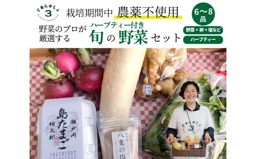【栽培期間中無農薬】野菜のプロが選ぶ. 旬の野菜・卵・天然塩・ハーブティー  全6〜8品詰め合わせセット(レシピ付き) 野菜 塩 卵 たまご 有機農家  野菜セット オーガニック レシピ 広島県 三原市 佐木島 083002