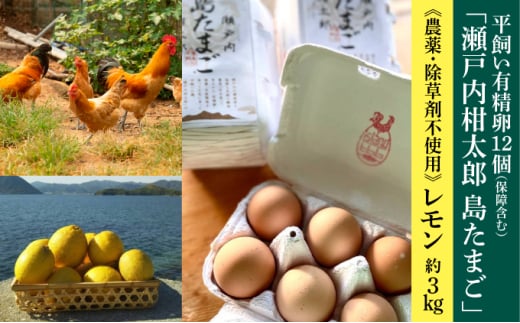 レモン 卵【先行受付】【2025年11月以降発送】平飼い有精卵「島たまご」10個+2個(保障付)栽培期間中農薬・除草剤を使わず育てた瀬戸内レモン3kg  広島 三原 佐木島 鷺島みかんじま 017036