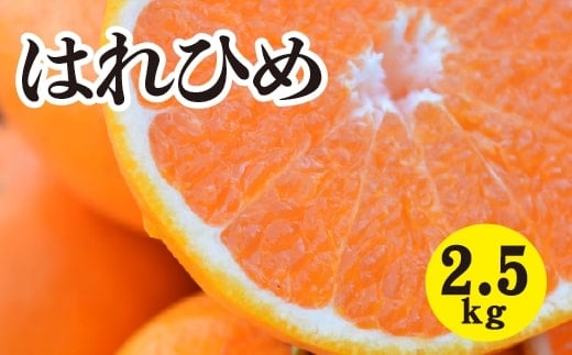 みかん【先行受付】【2026年1月以降発送】 爽やかな香りと甘さに満足！ 新品種 はれひめ ＜約2.5kg＞ 広島 三原 佐木島 鷺島みかんじま 017042
