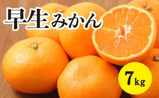 みかん【先行受付】【2025年11月以降発送】甘いだけじゃない！ 甘みと酸味の 早生みかん ＜約7kg＞ 広島 三原 佐木島 鷺島みかんじま 017040
