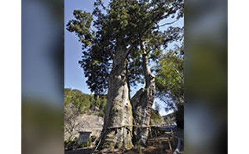 ①水源・森林保全・自然エネルギー活用など環境保全に関する事業