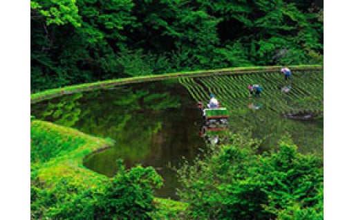 ②森林・林業に関する技術普及、遊休農地の利活用、山村文化・木材芸術の継承など、自然を生かした地域振興に関する事業