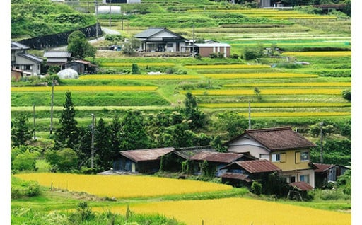 ④その他、目標達成に必要な事業