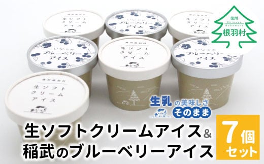素材にとことんこだわったアイスセット!生ソフトクリーム&稲武のブルーベリーアイス (80ml)×7個セット 5000円