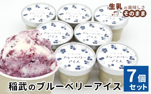 農薬・除草剤不使用!皮ごと使用!30品種をブレンドした 稲武のブルーベリー アイス(80ml)×7個入り