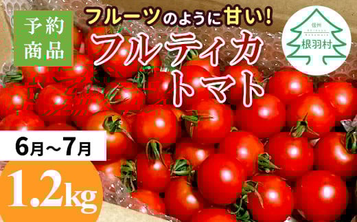 予約品※2025年6月~7月発送★フルーツのように甘い フルティカトマト 1.2kg 令和7年度産 ※予約商品※割れ保障付 5000円