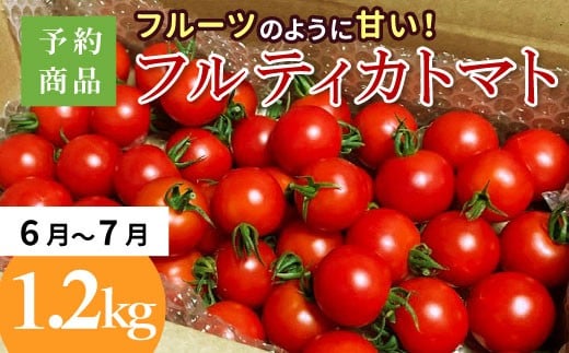 予約品※2026年6月~7月発送★フルーツのように甘い フルティカトマト 1.2kg 令和7年度産 ※予約商品※割れ保障付 5000円