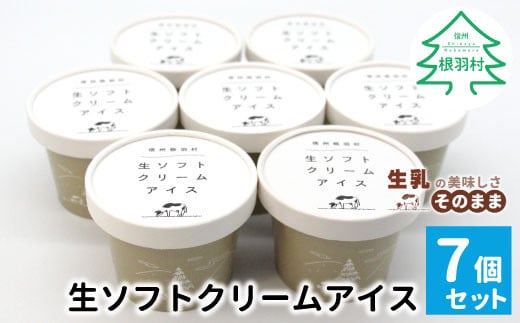 香料・着色料不使用★搾りたて生乳を使用した!『生ソフトクリームアイス』 7個セット アイスクリーム 5000円 アイス 生ソフト 生乳 牛乳 ミルク 定番 甘い スイーツ デザート