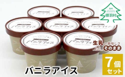 濃厚だけど軽い口どけ★マダガスカル産バニラビーンズ香る！バニラアイスクリーム 7個入り アイスクリーム 5000円 バニラアイス 定番