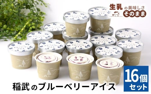 農薬・除草剤不使用!皮ごと使用!30品種をブレンドした ブルーベリー アイス(80ml)×16個入り