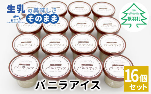 マダガスカル産バニラビーンズ香る!バニラアイスクリーム 16個入り アイスクリーム 10000円 アイス バニラ デザート スイーツ