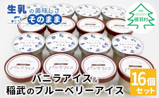 マダガスカル産バニラビーンズ香る!バニラアイスクリーム&いなぶのブルーベリーアイス (80ml)×16個セット バニラアイス ブルーベリーアイス バニラ 生乳 ミルク 10000円