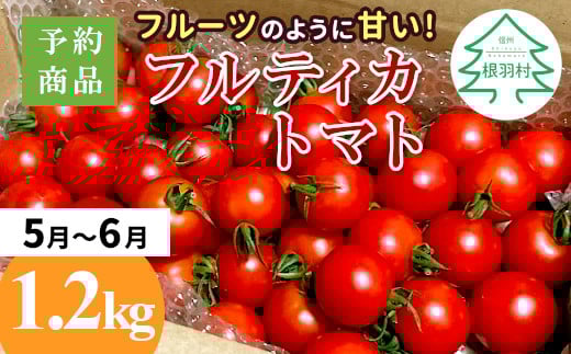 3人に1人がリピータ!数量限定❁先行予約品※2025年5月~6月発送フルーツのように甘い フルティカトマト 1.2kg 令和7年度産 ※予約商品※割れ保障付 5000円