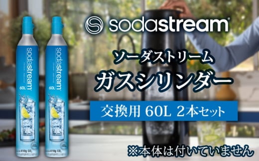 ソーダストリーム ガスシリンダー 交換用 60L 2本セット【ソーダストリーム】SodaStream 炭酸水 水 ソーダ水 回収用送り状付き [MDN011]