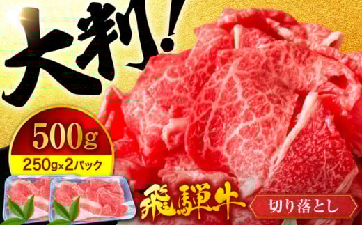 飛騨牛 切り落とし A5ランク 500g(250g×2)【有限会社マルゴー】国産牛 和牛 霜降り [MBE002]