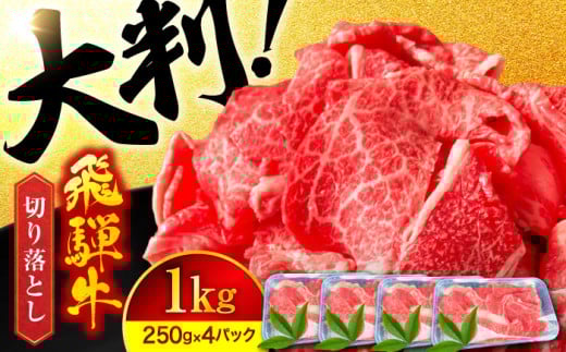 飛騨牛 切り落とし A5ランク 1kg (250g×4)【有限会社マルゴー】国産牛 和牛 霜降り [MBE003]