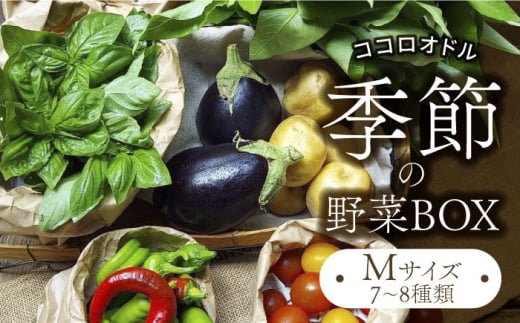 季節の野菜BOX  Mサイズ （7～8種類）【Farm Regalo】旬野菜 冷蔵 おまかせ [MDU002]