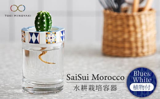 【美濃焼】SaiSui Morocco（Blue＆White）植物付き【大東亜窯業】 [MAG072]