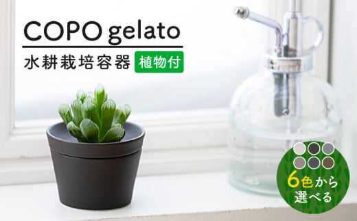 【美濃焼】＜色が 選べる＞COPO（ジェラート）植物付き【大東亜窯業】 [MAG073]