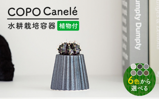 【美濃焼】＜色が 選べる＞COPO（カヌレ）植物付き【大東亜窯業】 [MAG074]