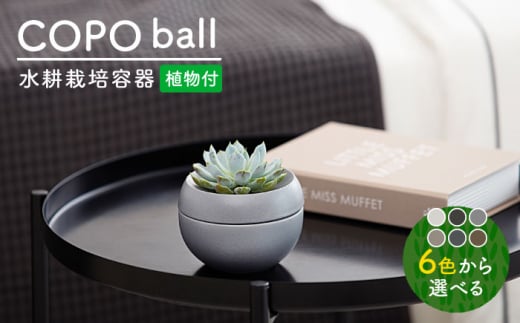 【美濃焼】＜色が 選べる＞COPO（球）植物付き【大東亜窯業】 [MAG075]
