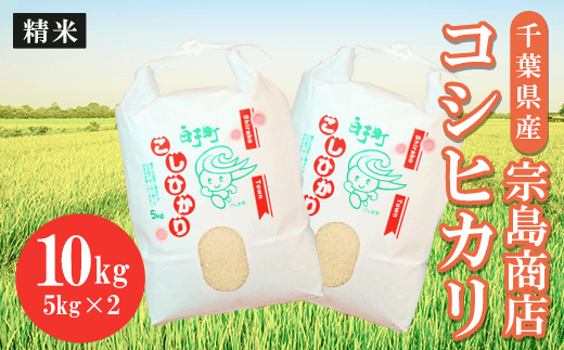 令和6年産　千葉県産 コシヒカリ（精米）10kg ふるさと納税 お米 10kg 千葉県産 白子町 コシヒカリ 米 精米 こめ 年越し おせち お餅 新年 お雑煮 送料無料 SHM002