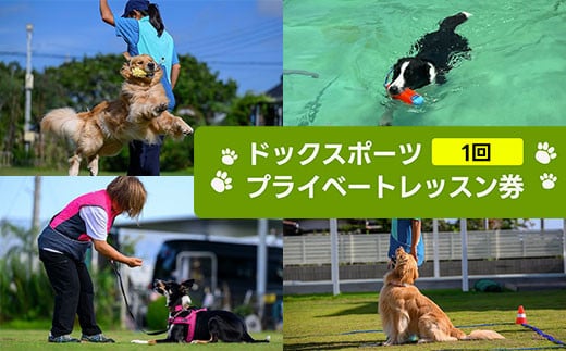 ドックスポーツ プライベートレッスン券（1回） ふるさと納税  ドッグスポーツ 利用券 チケット 犬 イヌ 千葉県 白子町 送料無料 SHAI001