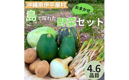 島で採れた新鮮野菜詰め合わせセット(4~6品目)【1606515】