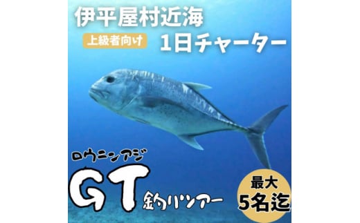 <貸し切りプラン>沖釣りチャーター 上級者向け1日プラン(1~5名様)【1523917】