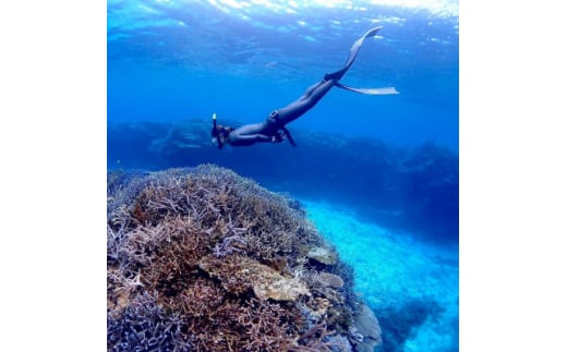 手ぶらでスノーケリング(2名様2時間コース)【1533681】