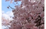 ②観光・産業の充実