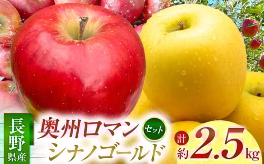 貯蔵りんご 奥州ロマン シナノゴールド 詰合せセット　2.5㎏　2月下旬発送予約品｜りんご 林檎 フルーツ 果物 奥州ロマン シナノゴールド 詰め合わせ 貯蔵りんご 長野県 信州【011-21】