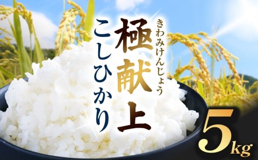 コシヒカリ 5kg【018-21】極献上 こしひかり 5kg | コシヒカリ こしひかり 米 極献上 特別優秀賞 長野県 伊那市 信州