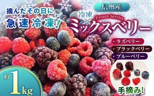 ベリー ミックス 信州 伊那産 冷凍 ミックスベリー 1kg 国産 ベリー 3種 ：ラズベリー ・ ブラックベリー ・ ブルーベリー | 果物 フルーツ ベリー 手摘み 急速冷凍 木の実 スムージー ビタミンC 長野県 伊那市 【019-13】