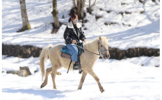 【055-12】里山で乗馬体験（馬のブラシがけと乗馬でむらをお散歩）1人でも複数人でも可能