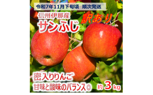 【009-47】信州のサンふじ　訳あり　3キロ！（りんご・リンゴ・林檎）