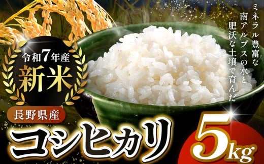 米 お米 コシヒカリ 信州伊那産 令和７年度 伊那市田原産米 コシヒカリ 5キロ ｜ 米 コシヒカリ 田原産 お米 伊那 伊那産 長野県 ふるさと納税 【014-50】