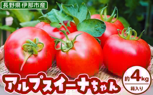 アルプスイーナちゃん トマト(4キロ箱入り)|伊那市 収穫 美味しい トマト 甘さ 酸味 バランス 濃厚 味 おいしい 空気 ふるさと納税【010-07】